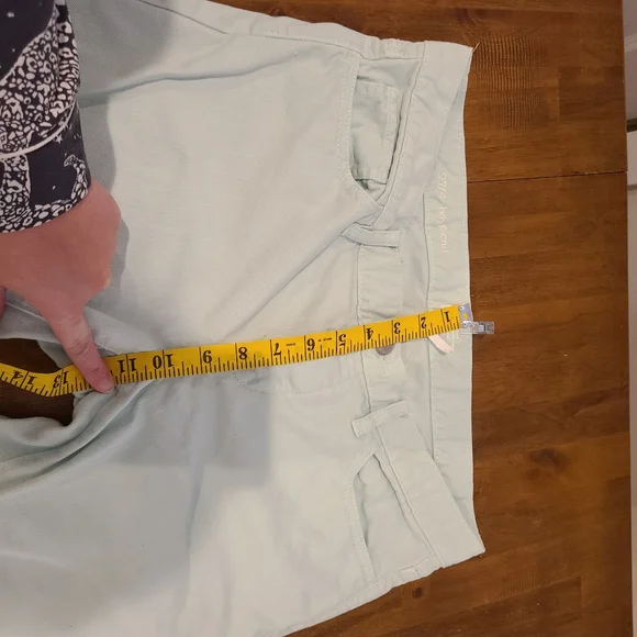 Loft Mint Green Boyfriend Denim Pants - Picture 8 of 9